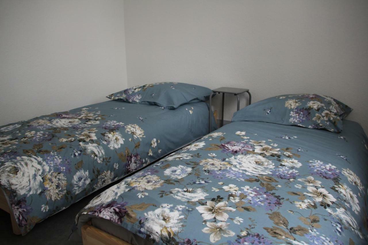Appartement T3 Tres Calme - Le Bartholdi - Centre De קולמר מראה חיצוני תמונה